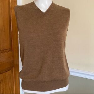 Uniqlo 100% Wool V-Neck Sleeves Sweater